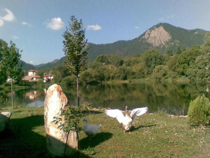 Ribkata Family Hotel Smolyan Bagian luar foto